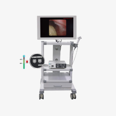 Electronic Endoscope Image Processor